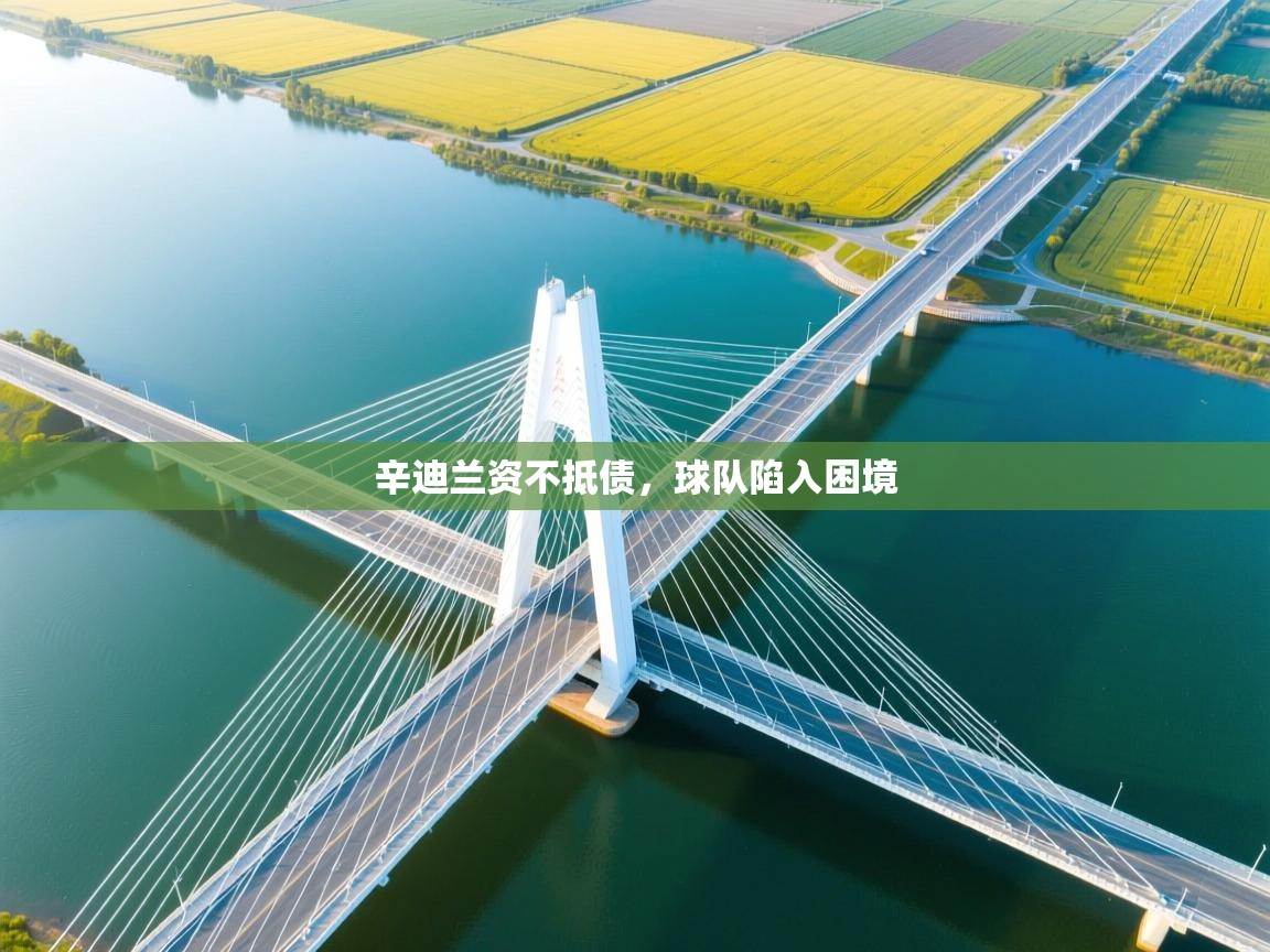 辛迪兰资不抵债,球队陷入困境 第1张